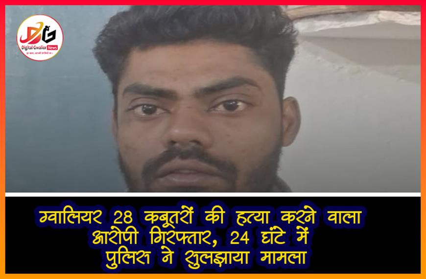 ग्वालियर: 28 कबूतरों की हत्या करने वाला आरोपी गिरफ्तार, 24 घंटे में पुलिस ने सुलझाया मामला