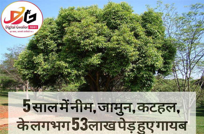 पांच वर्षों में भारतीय खेतों से लाखो छायादार पेड़ अब गायब  जाने कैसे हुए गायब 
